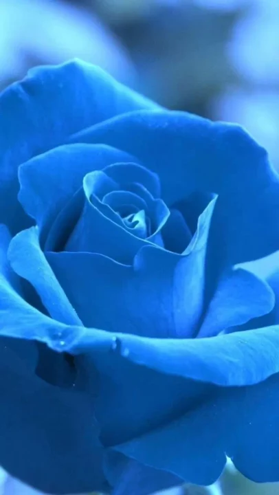 Beautiful Blue Profile Pictures in HD