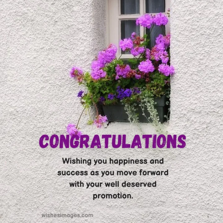 Professional Promotion Wishes for Boss