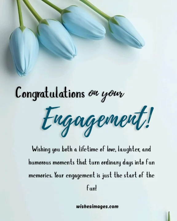 Funny Engagement Wishes