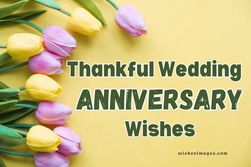 350+ Heartfelt Thankful Wedding Anniversary Wishes for Your Partner