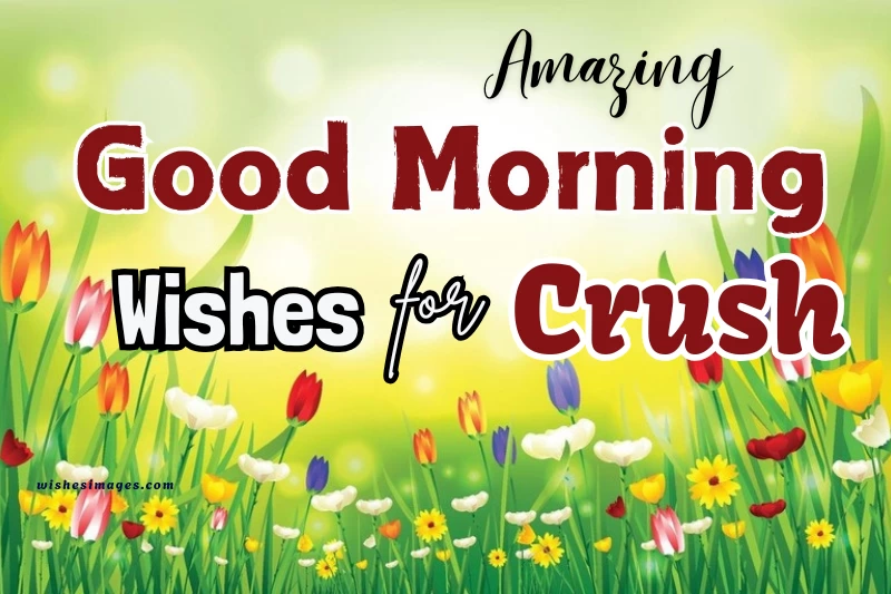 200+ Amazing Good Morning Wishes for Crush – Cute, Romantic & Sweet Messages