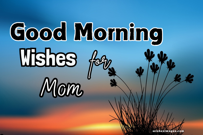 200+ Beautiful Good Morning Wishes for Mom to Make Her Day Special