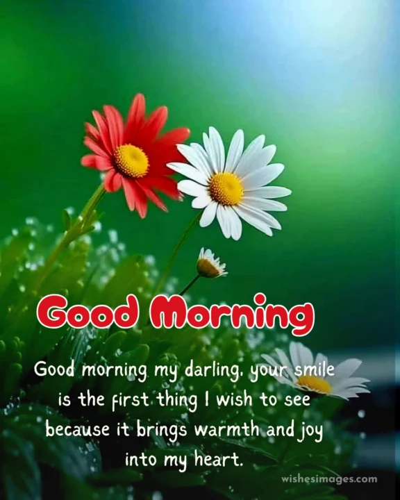 Heart Touching Good Morning Wishes for Him and Her