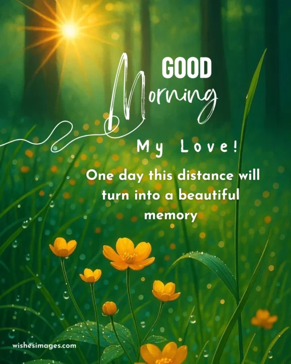 Romantic Good Morning Wishes for Long Distance Girlfriend