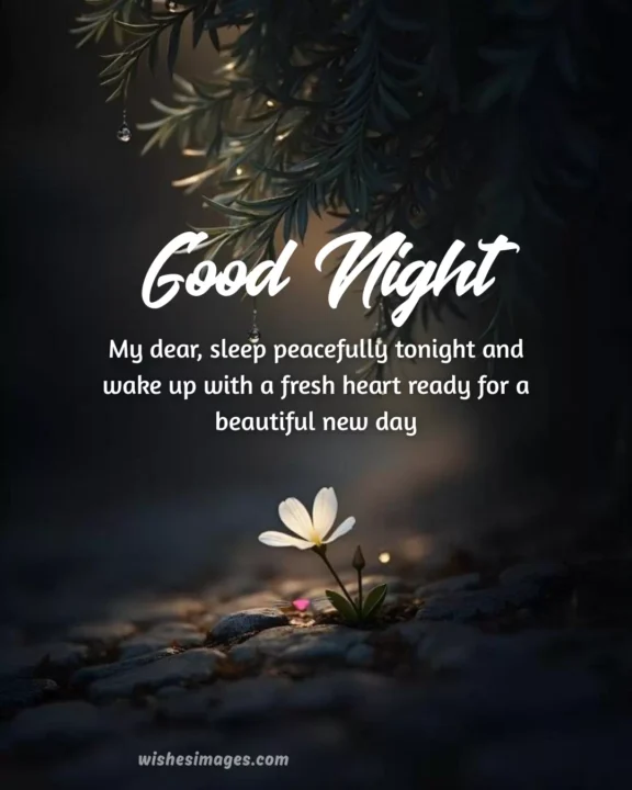 Funny Good Night Messages for Him