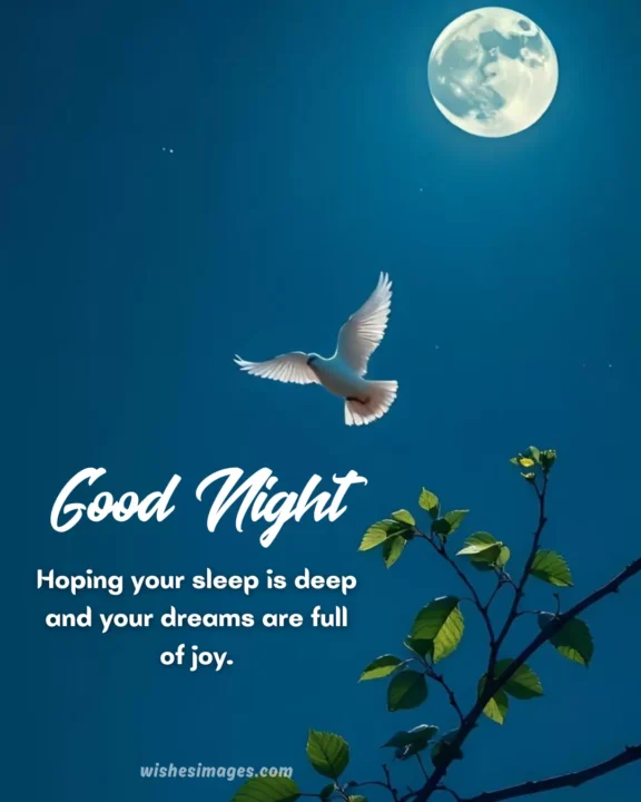 heart touching good night memes for loved ones