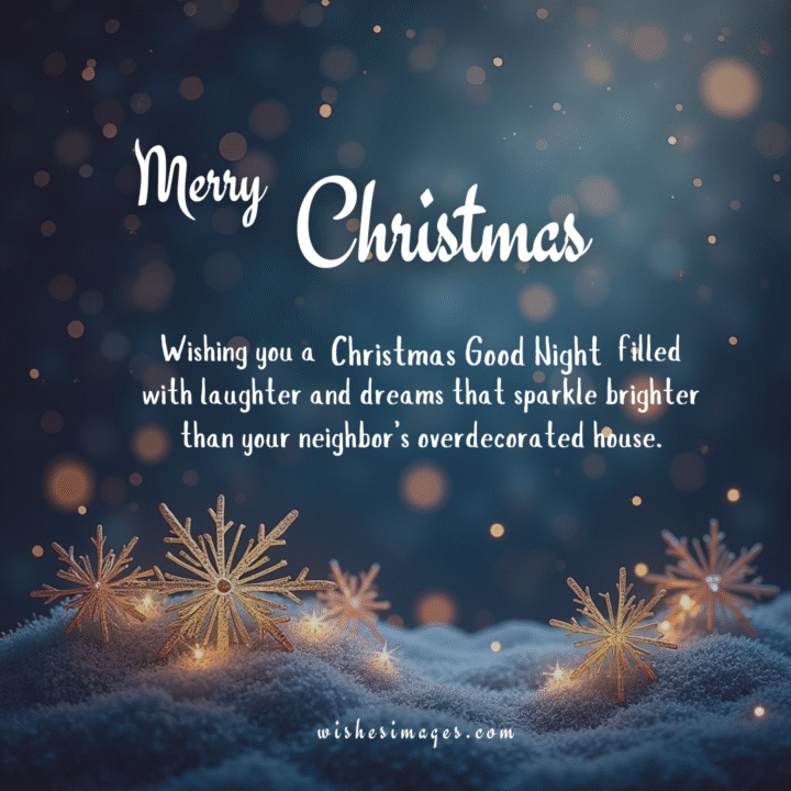 Funny Christmas Good Night Wishes