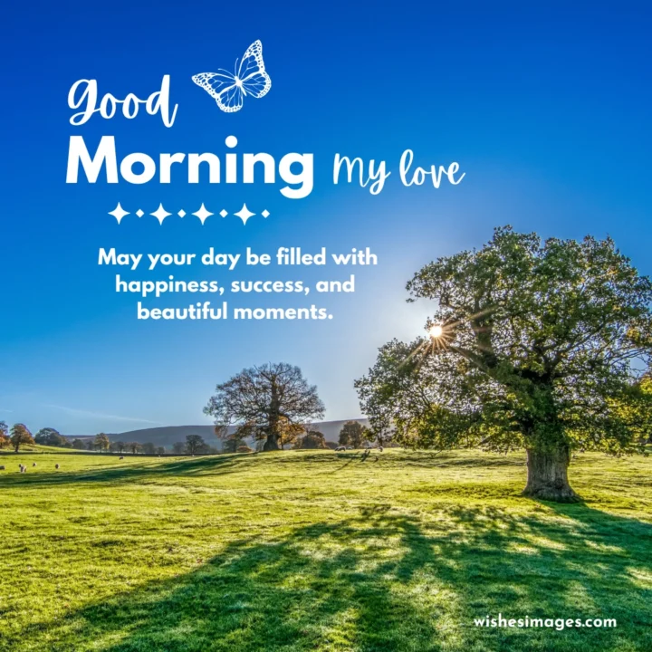 Good Morning Wishes for Husband