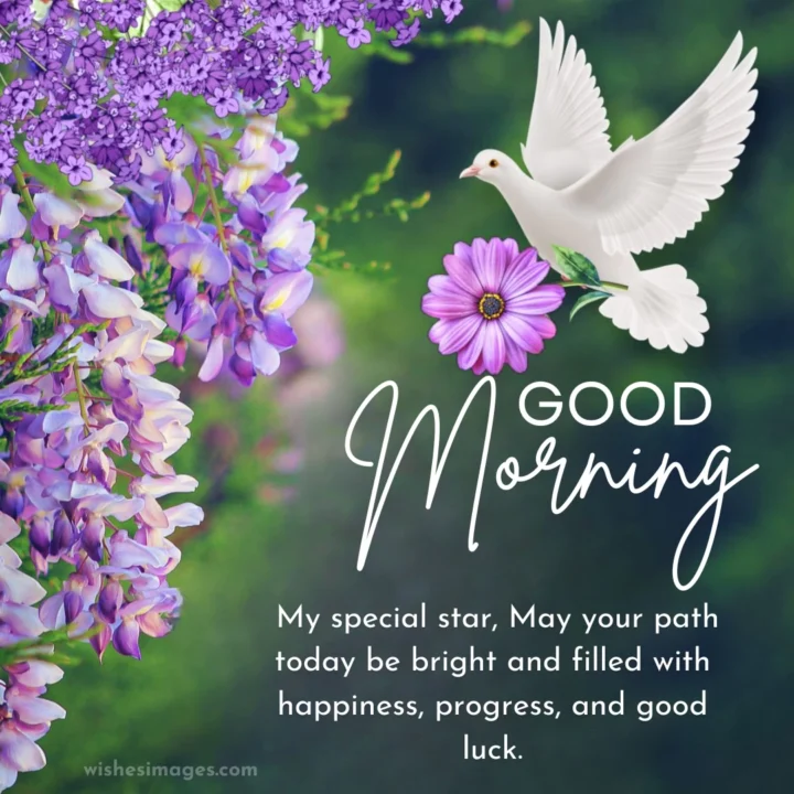 Good Morning Messages for Crush