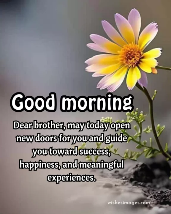 sweet good morning messages for brother image with quotes