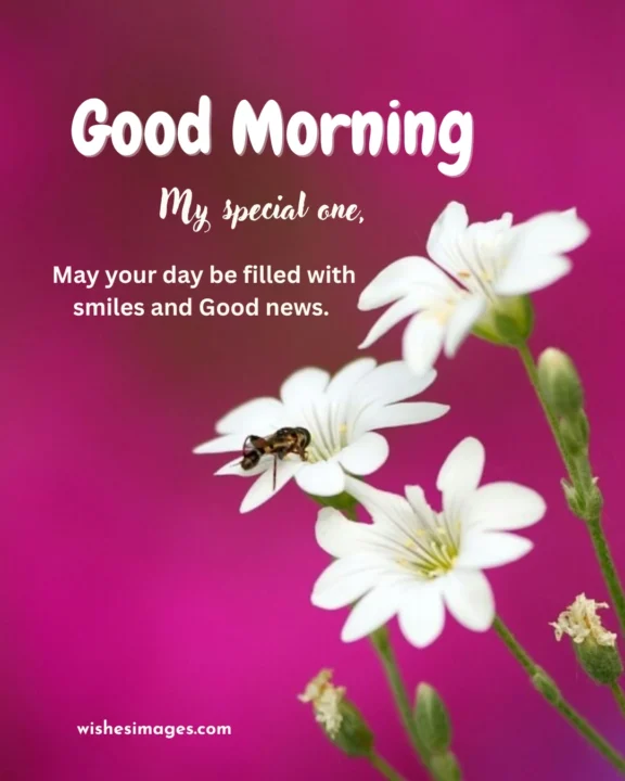 Cute Good Morning Messages for Crush