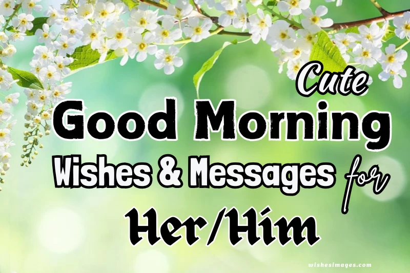 Heart Touching Good Morning Wishes for Him and Her