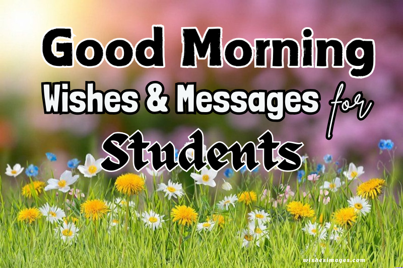 best Good Morning Wishes for Students