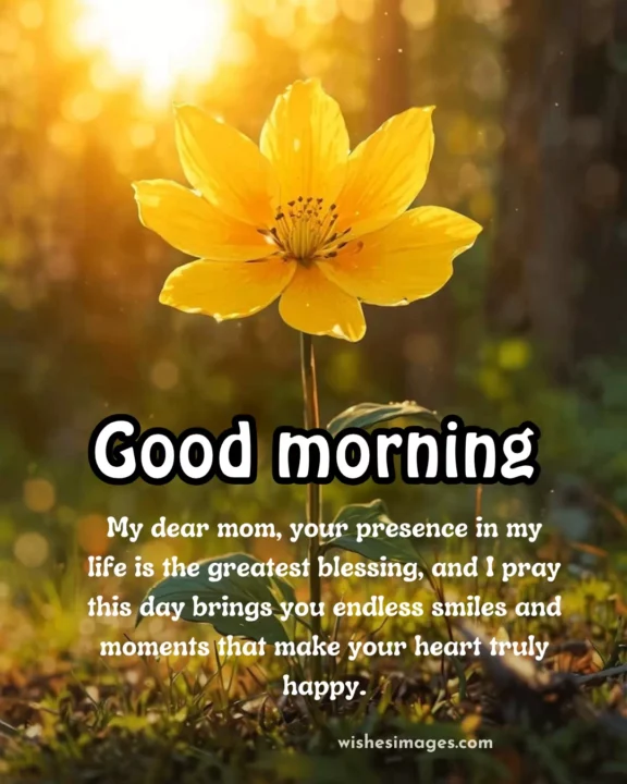heart touching good morning messages for mom image