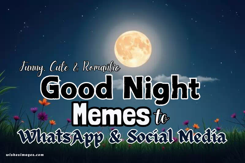 150+ Best Good Night Memes for WhatsApp (Funny, Cute & Romantic)