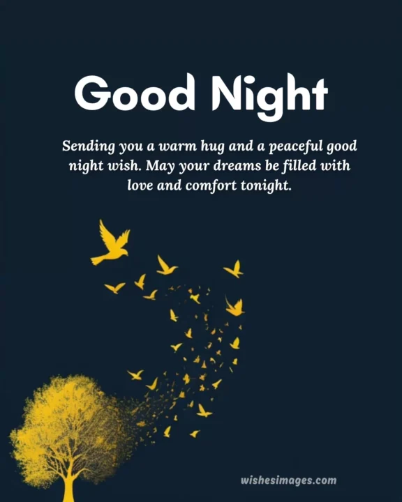 Cute Good Night Memes for Friends and Family