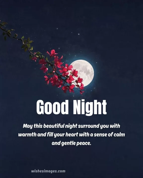 funny good night memes for whatsapp status with quotes
