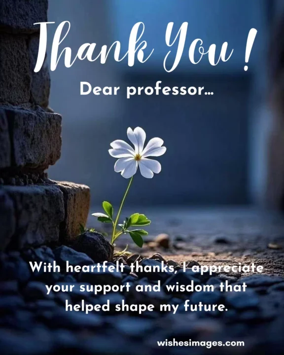 heartfelt graduation thank you messages for professors and teachers