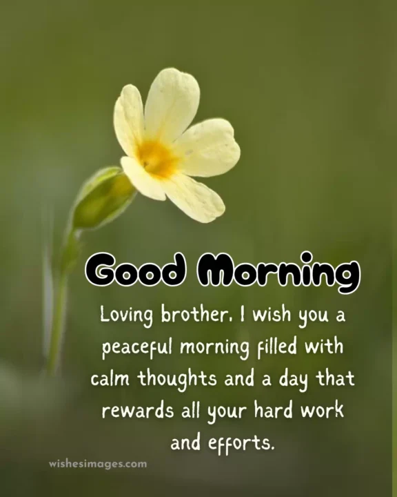 Heart Touching Good Morning Wishes for Brother