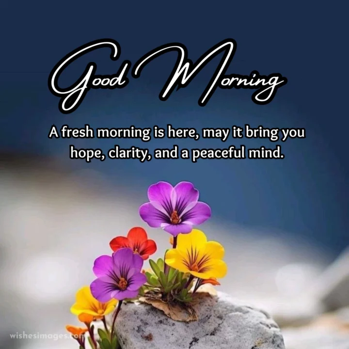 Heart Touching Good Morning Wishes for Family