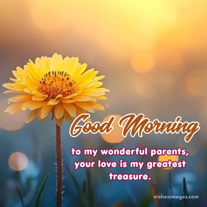 Heart touching good morning wishes for parents