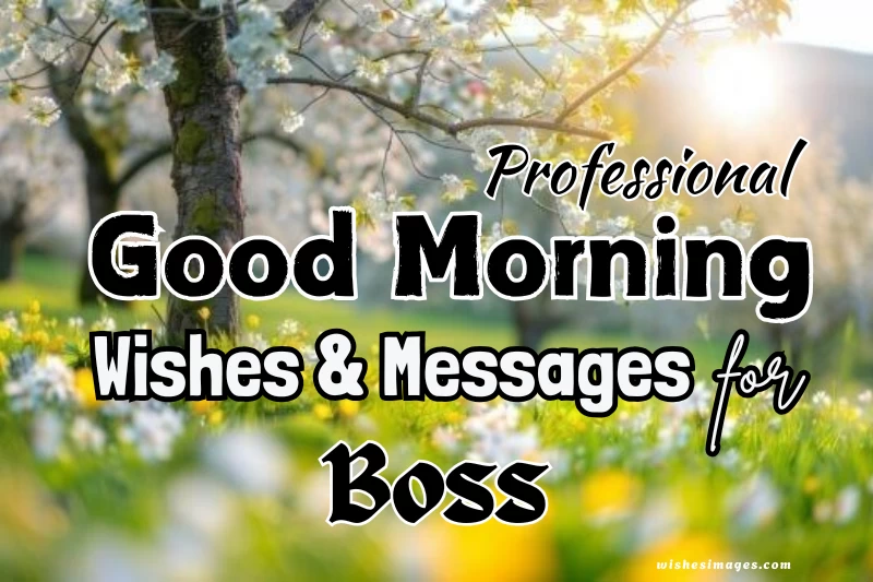 200+ Professional Good Morning Wishes for Boss (Respectful & Motivational)