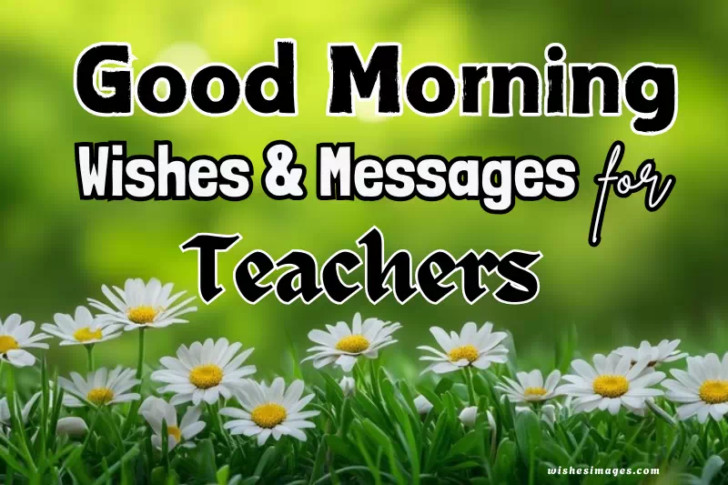 Good Morning Wishes for Teachers