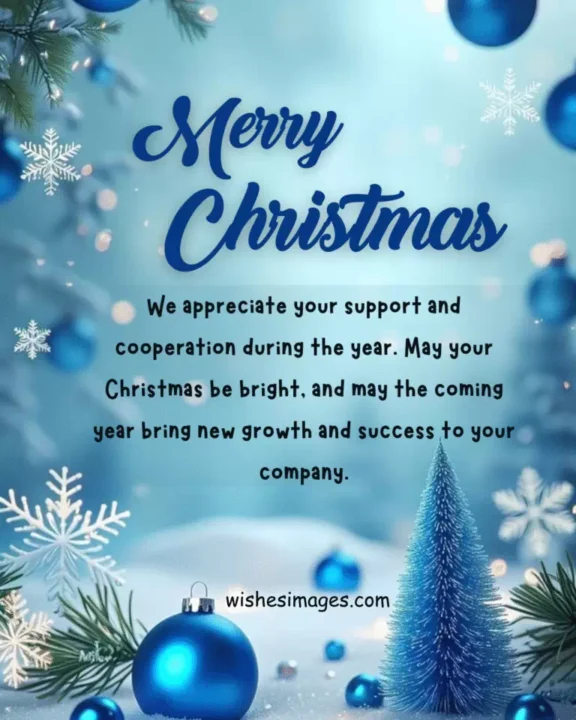 Professional Christmas Wishes images