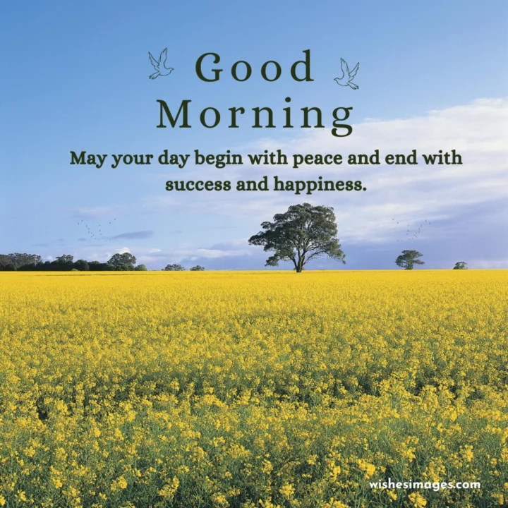 Romantic Good Morning Messages for Husband