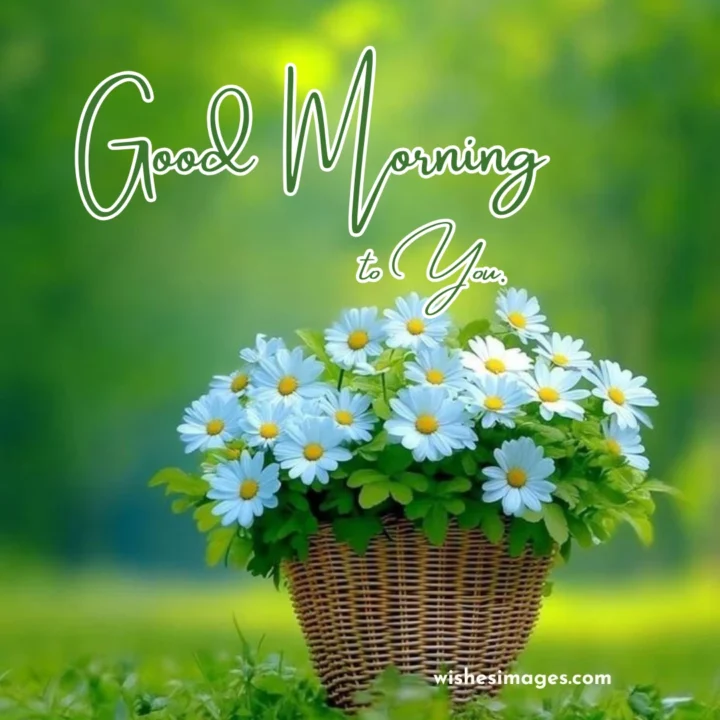  Good Morning Messages