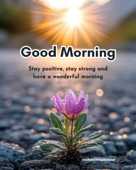 Short Good Morning Wishes for WhatsApp