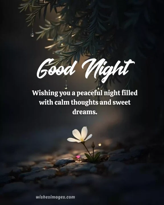 cute good night memes for friends and family