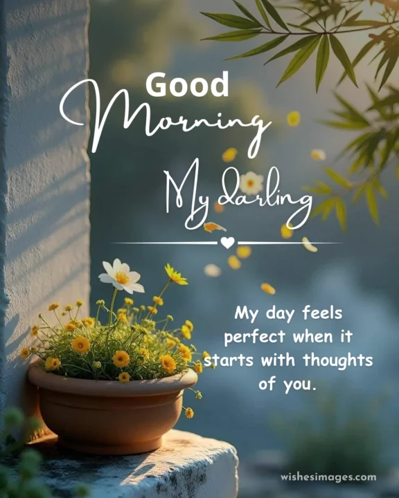 Good Morning Wishes for Wife