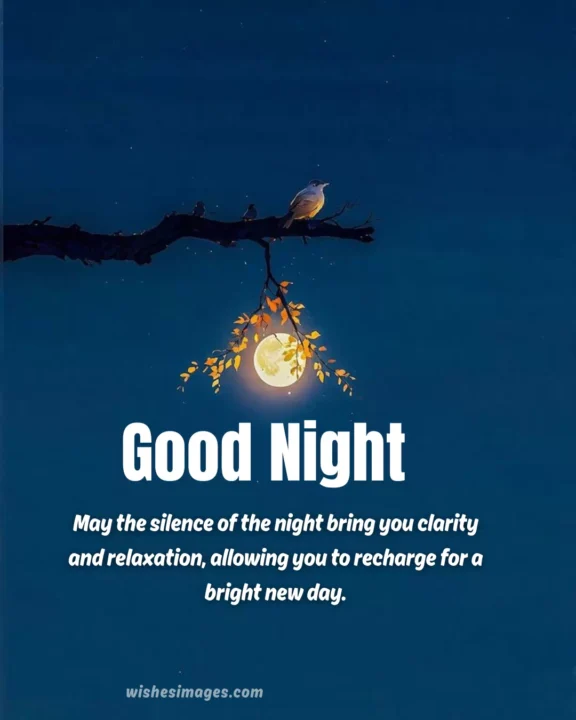 sweet dreams good night memes hd images free download