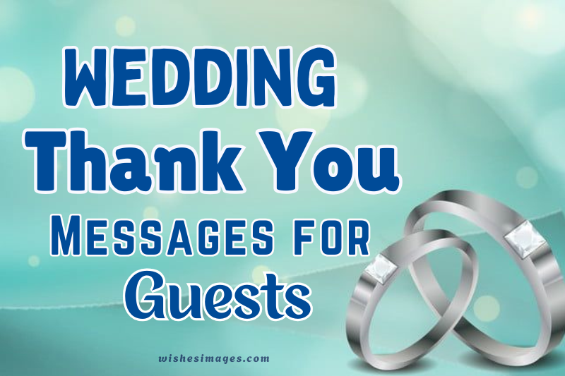 250+ Heartfelt Wedding Thank You Messages for Guests to Express Your Gratitude