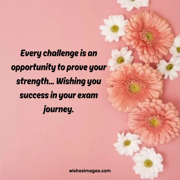 exam success wishes and messages