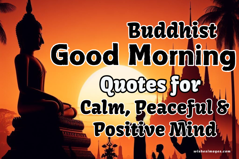 150+ Best Buddhist Good Morning Quotes for Calm Mind