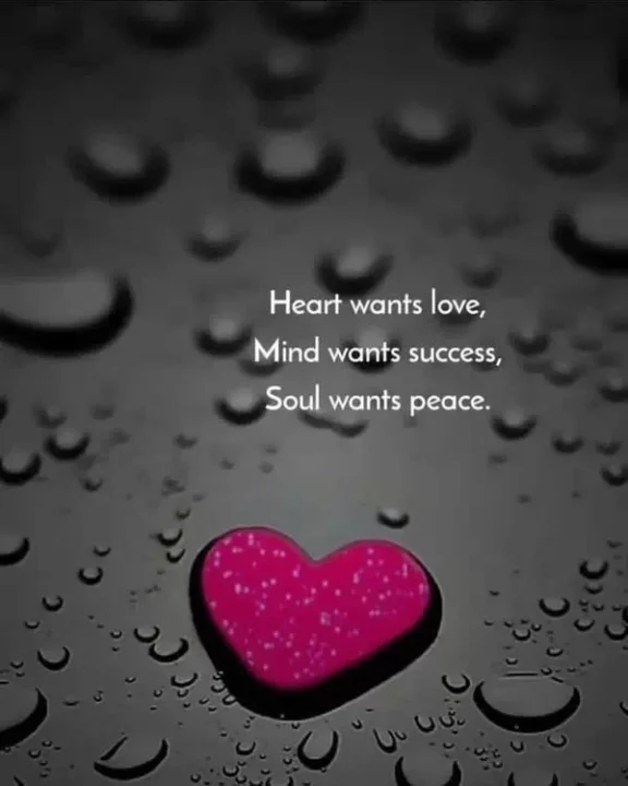 HD Love Profile Picture with Quote