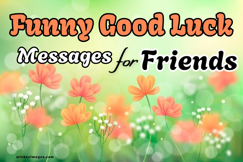 200+ Funny Good Luck Messages for Friends That Will Make Them Laugh