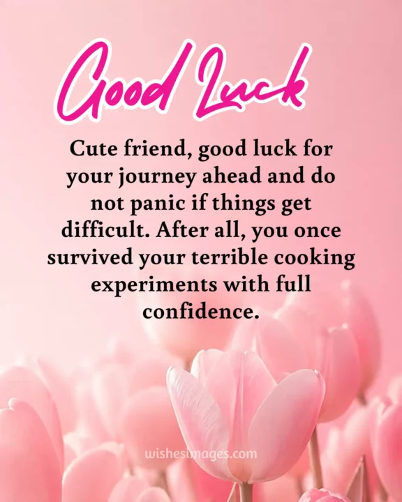Funny Good Luck Wishes for Friends