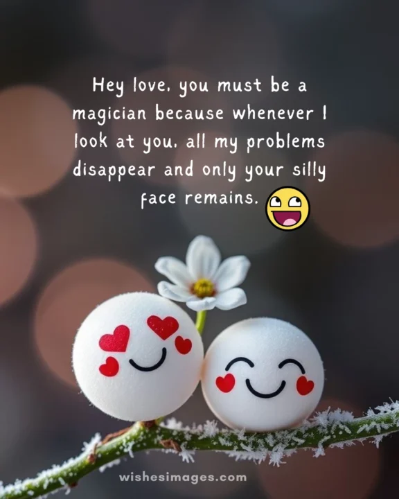 Funny Love Messages for Wife