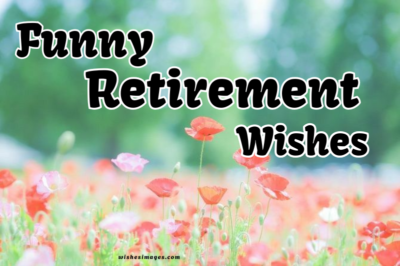 200+ Funny Retirement Wishes That Will Make Everyone Laugh Out Loud