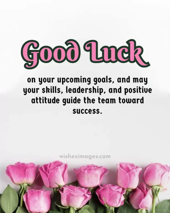 good luck wishes for success