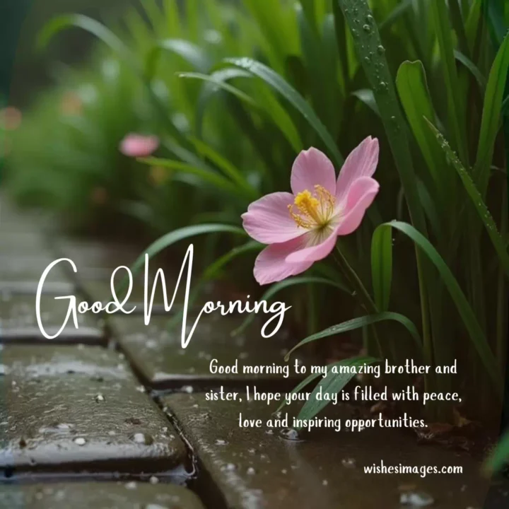heart touching good morning messages for siblings