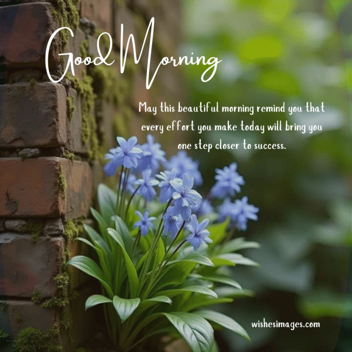 Good Morning Motivational Messages for Siblings