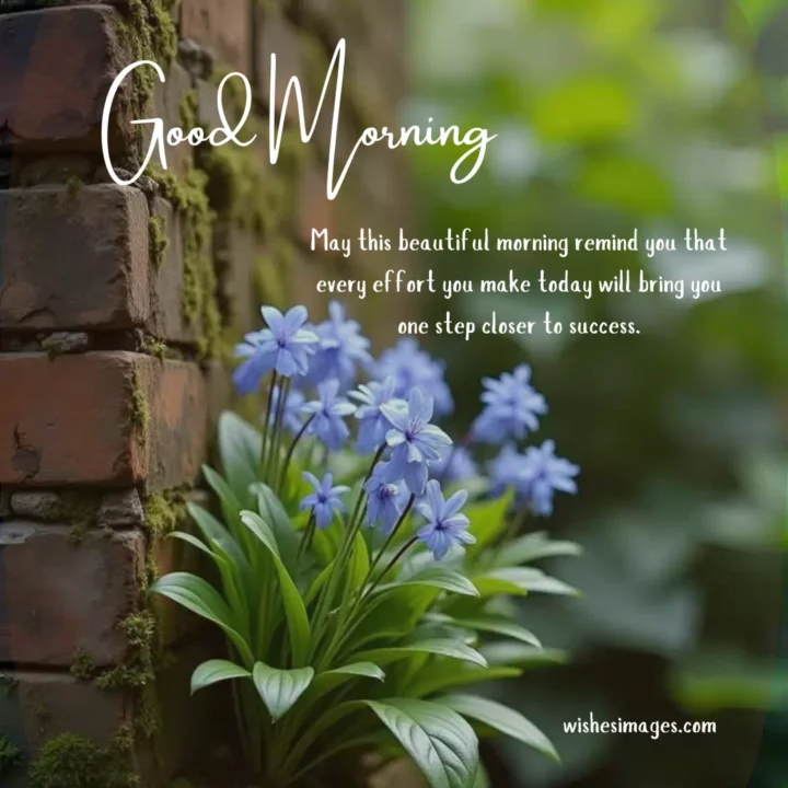 Cute Good Morning Messages for Siblings