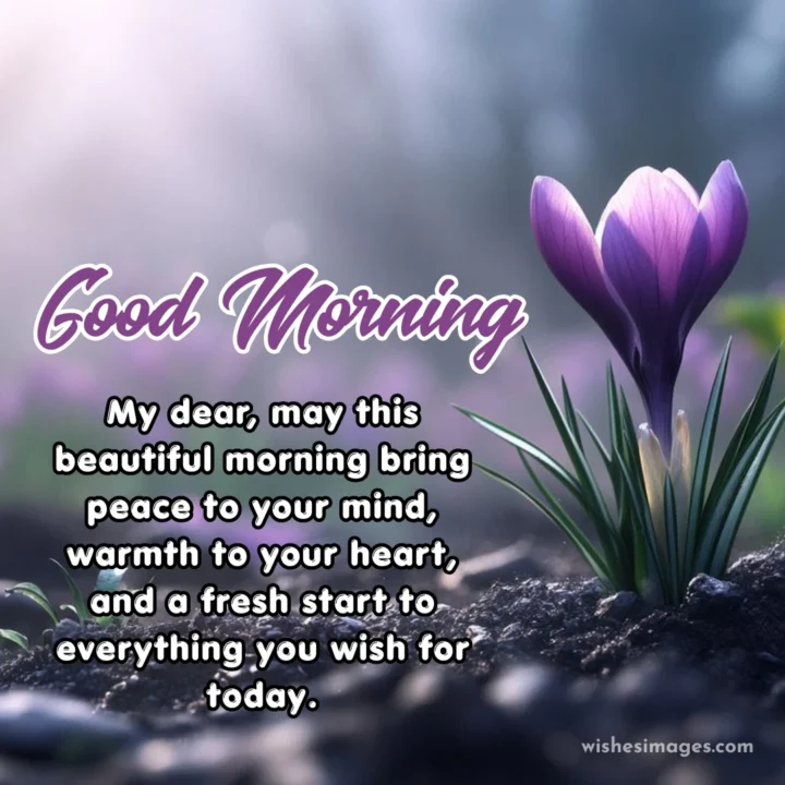 beautiful good morning wishes images