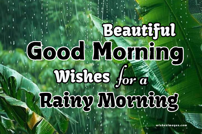 Good Morning Wishes for a Rainy Morning