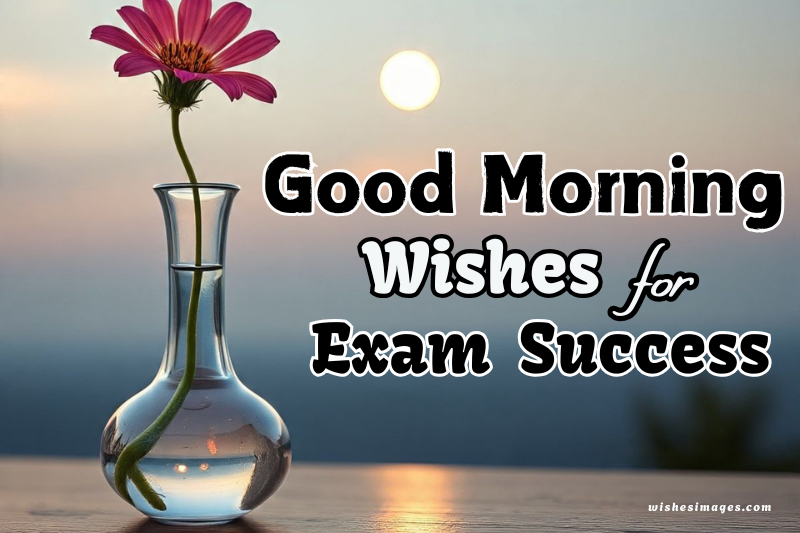 200+ Good Morning Wishes for Exam Success (Motivational Messages for Students
