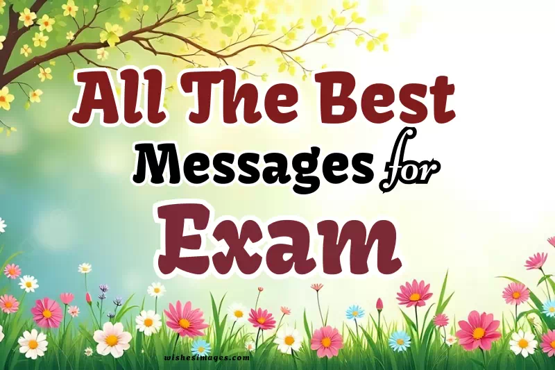 150+ Heartfelt All the Best Messages for Exams for Success & Confidence